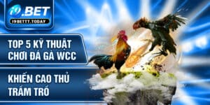 Top 5 Kỹ Thuật Chơi Đá Gà WCC Khiến Cao Thủ Trầm Trồ